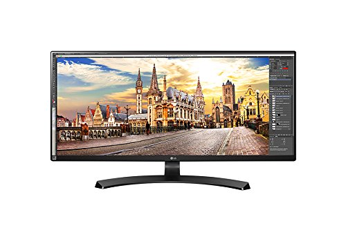 LG 21:9 Ultrawide 29UM59 29-inch Monitor (Black)