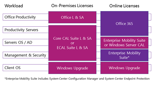 Client Access Licenses and Management Licenses